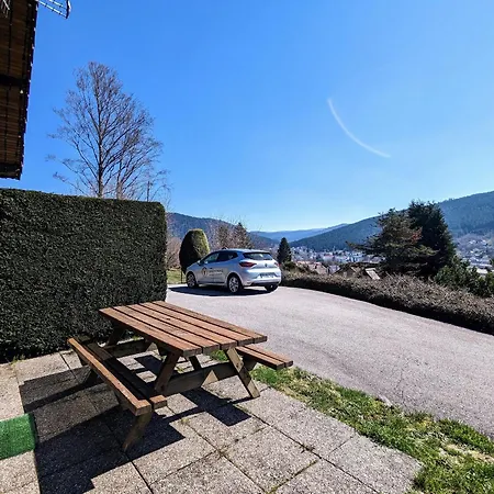 Familial Avec Cheminee A - Fr-1-589-37 * Gérardmer